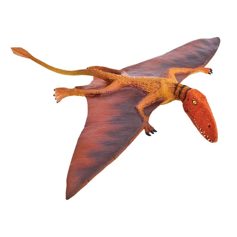 Safari Ltd Dimorphodon Ws Prehistoric World