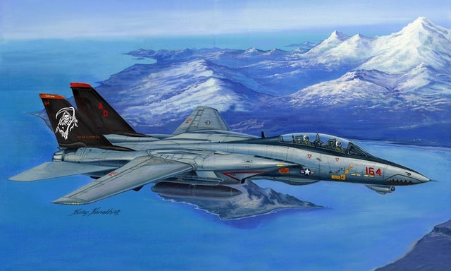 Hobbyboss 1:48 F-14D Super Tomcat