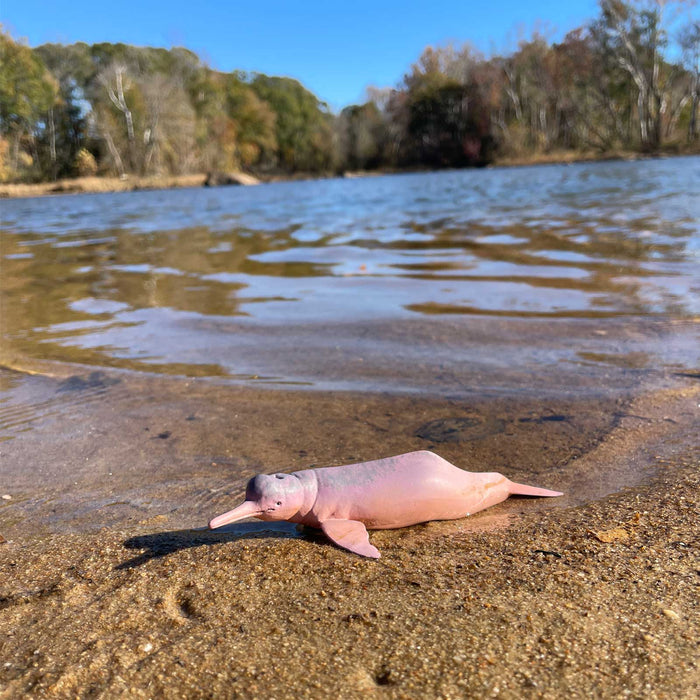 Safari Ltd Amazon River Dolphin