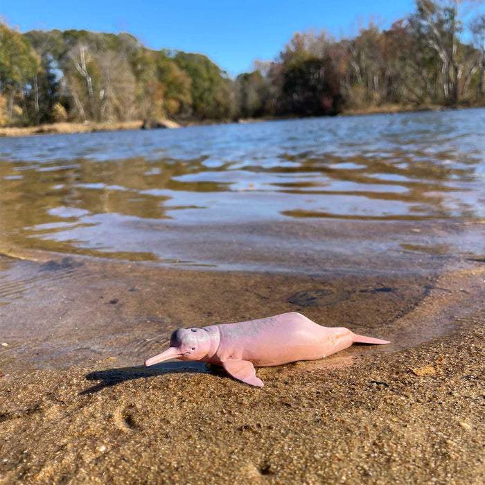 Safari Ltd Amazon River Dolphin