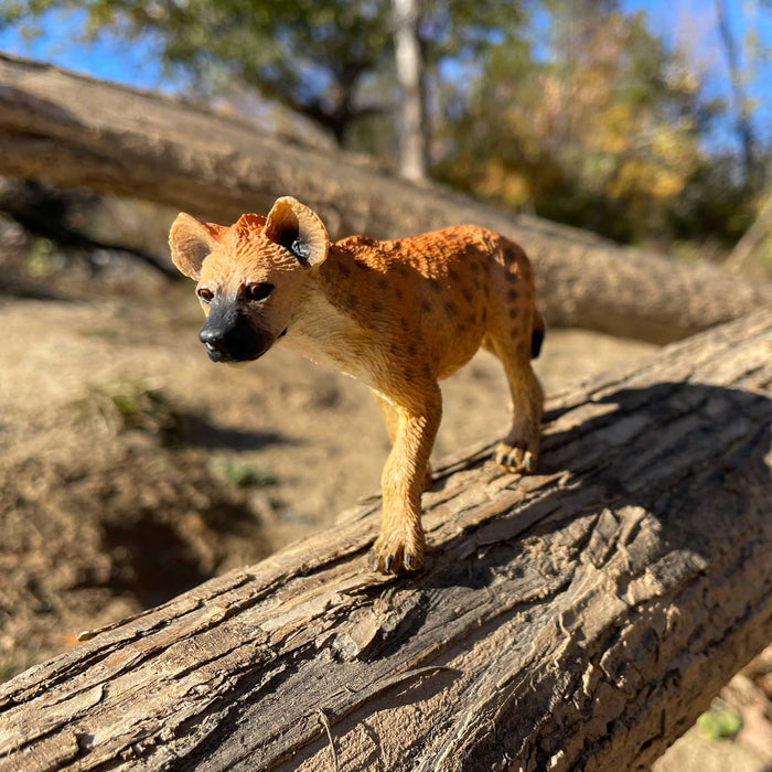 Safari Ltd Spotted Hyena