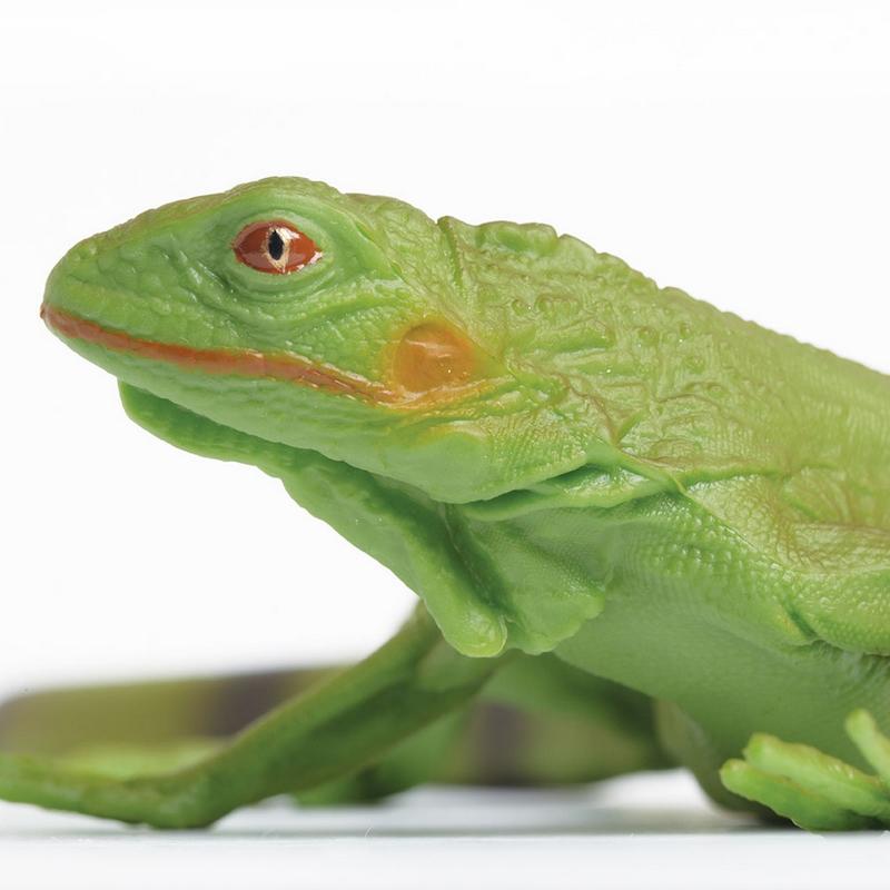 Safari Ltd Iguana Baby