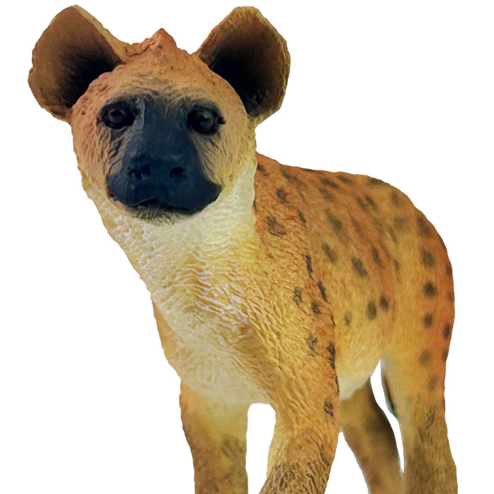 Safari Ltd Spotted Hyena