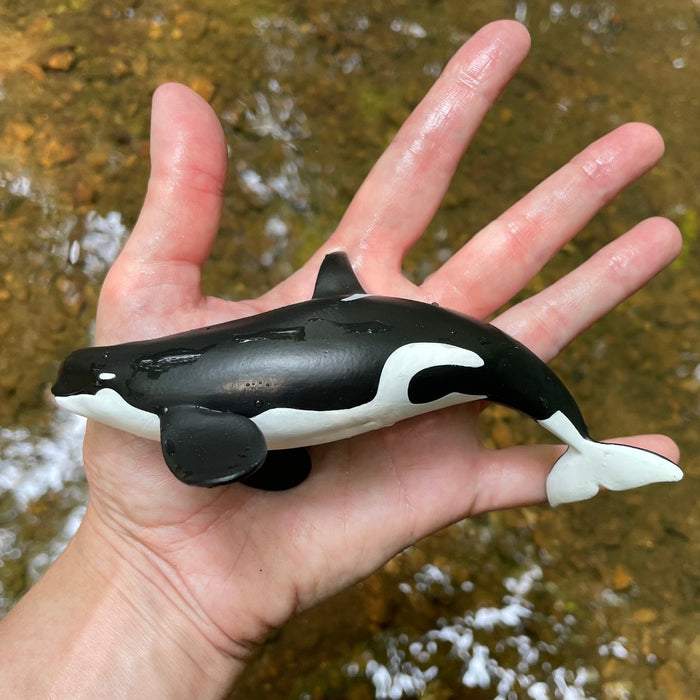 Safari Ltd Type D Orca Toy Figure