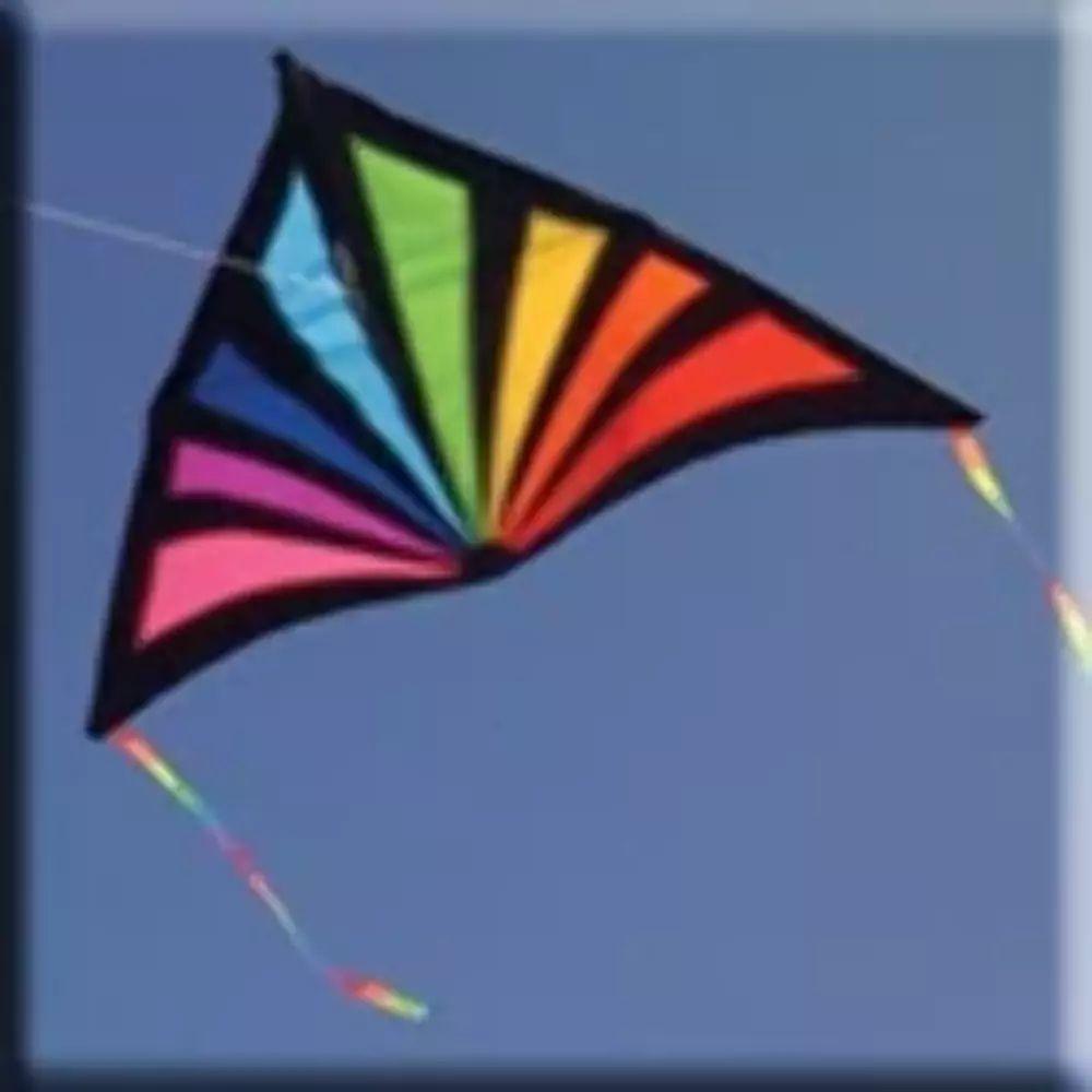 Kites Sunrise Delta Single String-1500Mm Wingspan