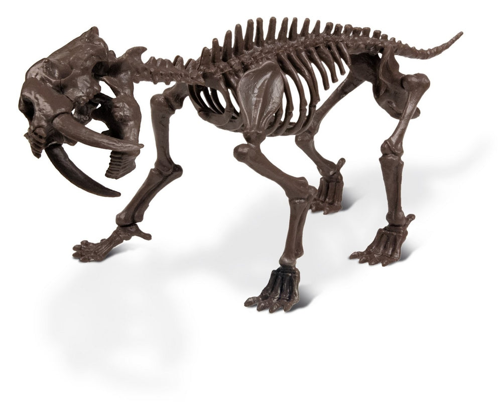 Dr S. Hunters Smilodon Skeleton Ice AgeExcavation Kit