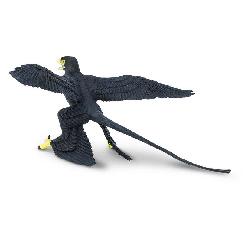 Safari Ltd Microraptor