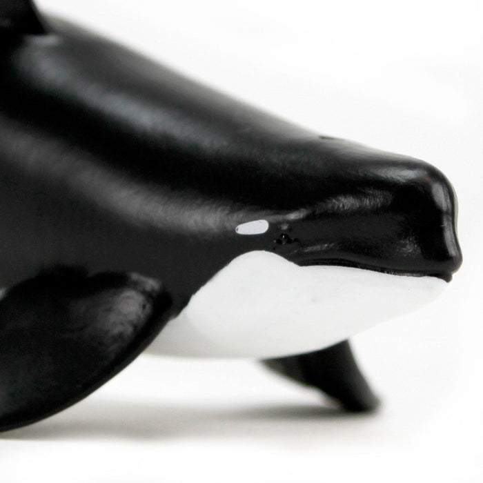 Safari Ltd Type D Orca Toy Figure