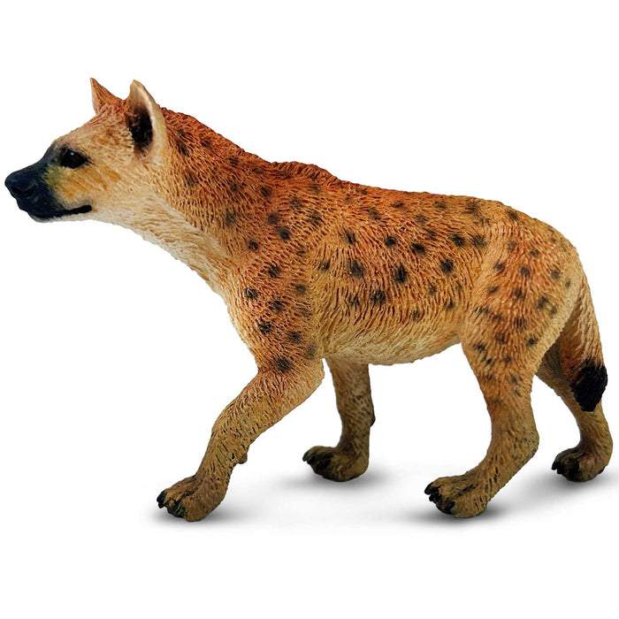 Safari Ltd Spotted Hyena