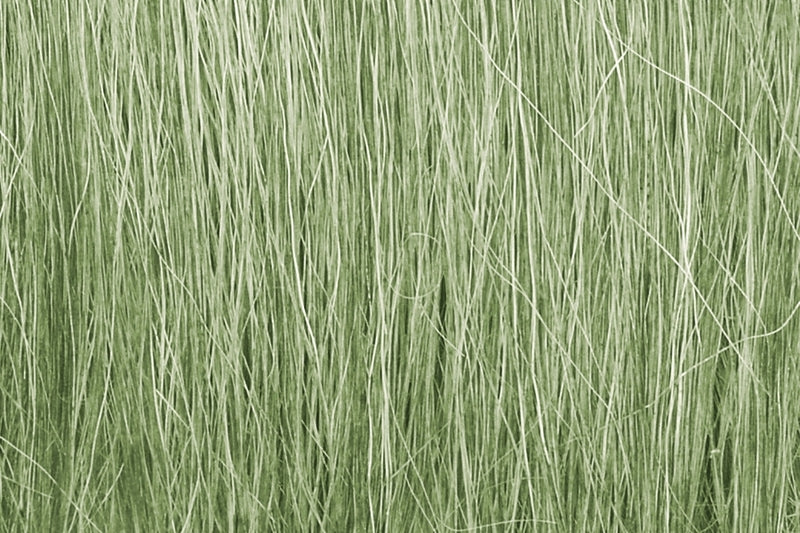 Woodland Scenics Light Green Field Grass