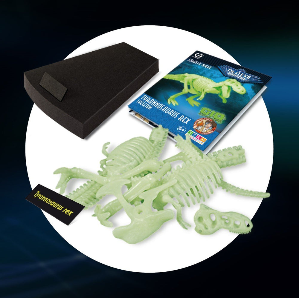 Dr S. Hunters Jurassic Night Glow-In-The-Dark Tyrannosaurus Rex