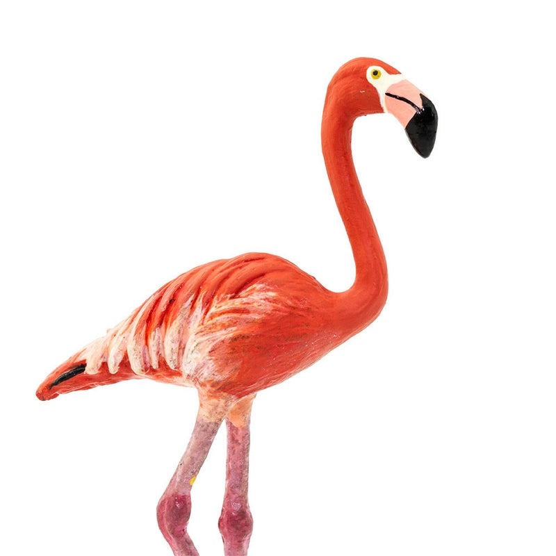 Safari Ltd Flamingo Wings Of The World