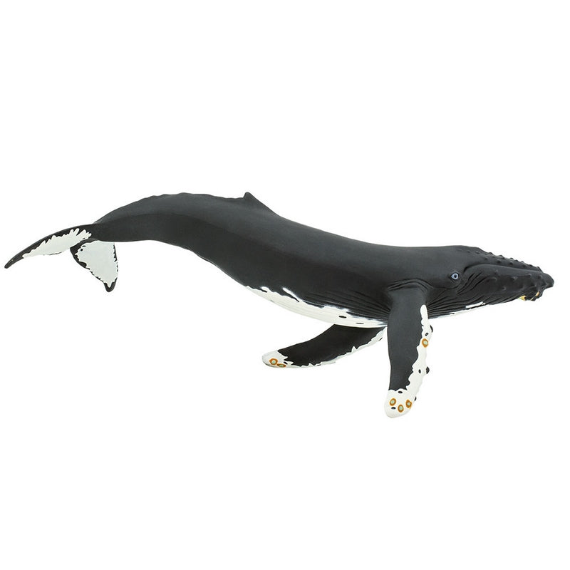 Safari Ltd Humpback Whale Mb Sea Life