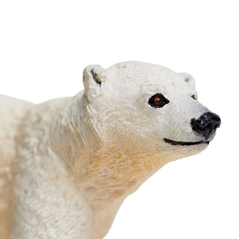 Safari Ltd Polar Bear Cub