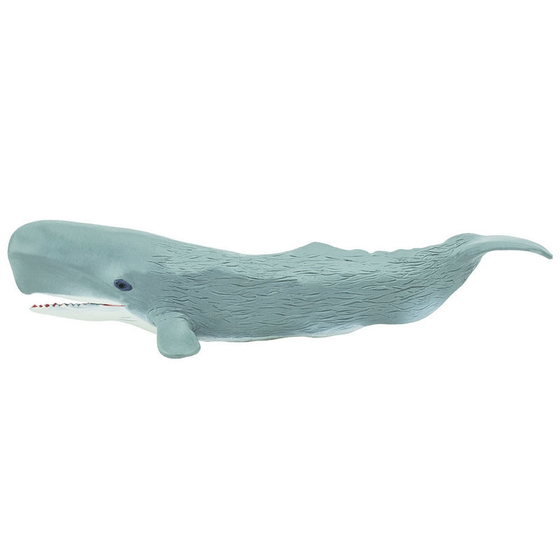 Safari Ltd Sperm Whale Wild