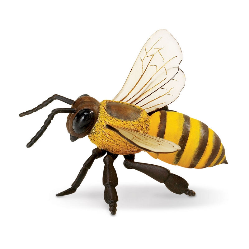 Safari Ltd Honey Bee Incredible Creatures