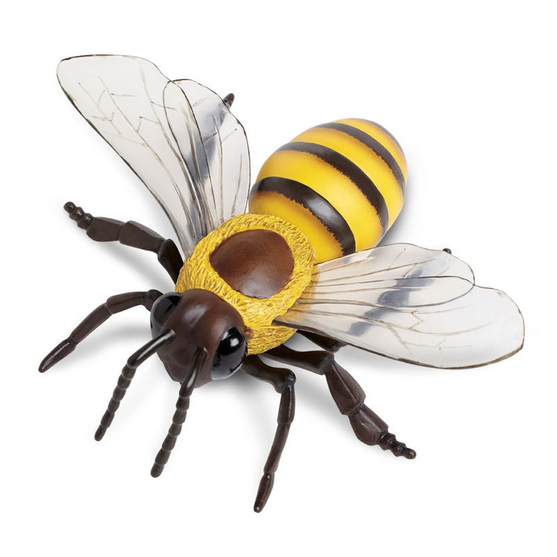 Safari Ltd Honey Bee Incredible Creatures
