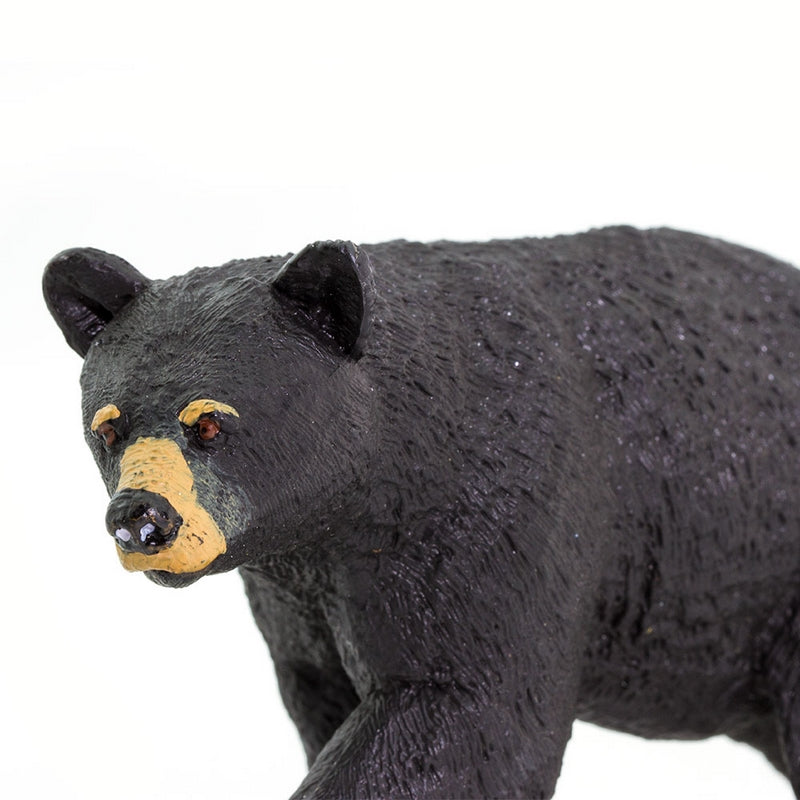 Safari Ltd Black Bear North American Wildlife