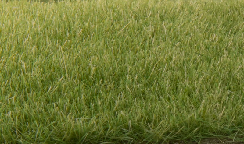 Woodland Scenics 4mm Static Grass MediumGreen
