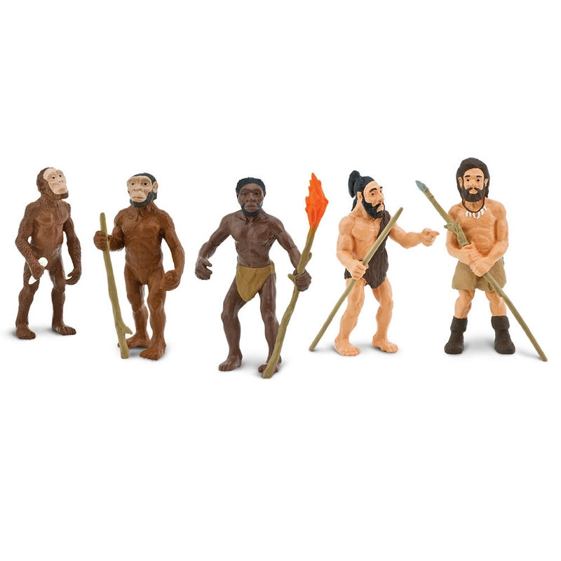 Safari Ltd Evolution Of Man Safariology