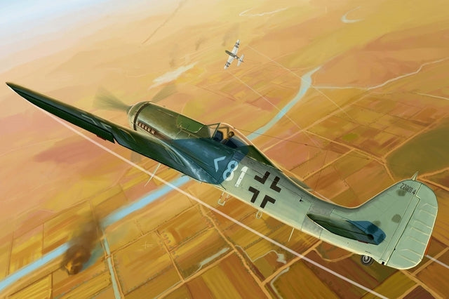 Hobbyboss 1:48 Focke-Wulf Fw190D-11