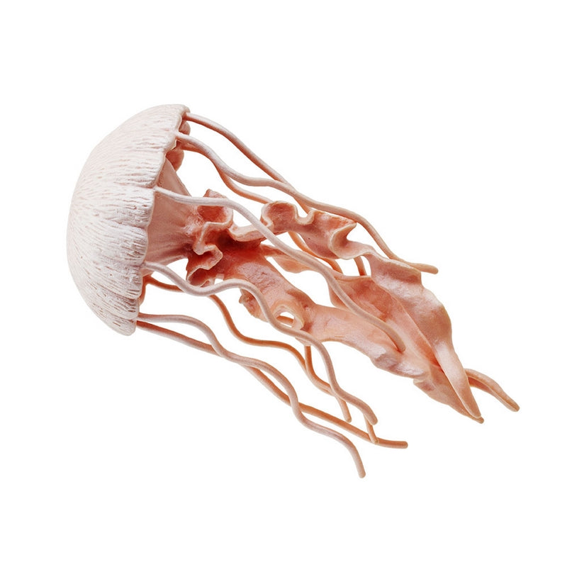 Safari Ltd Jellyfish Incredible Creatures