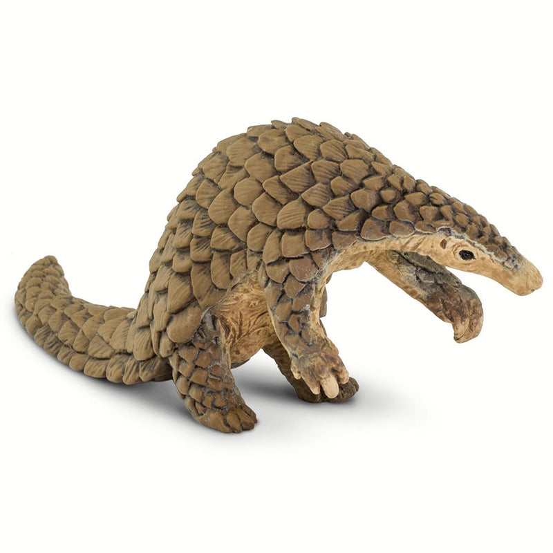 Pangolin, Incredible Creatures — HTDirect - Main Image