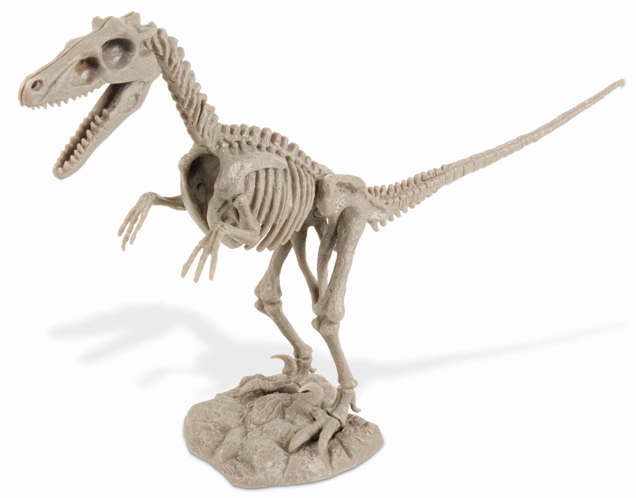 Dr. Steve Hunters Velociraptor SkeletonDino Excavation Kit