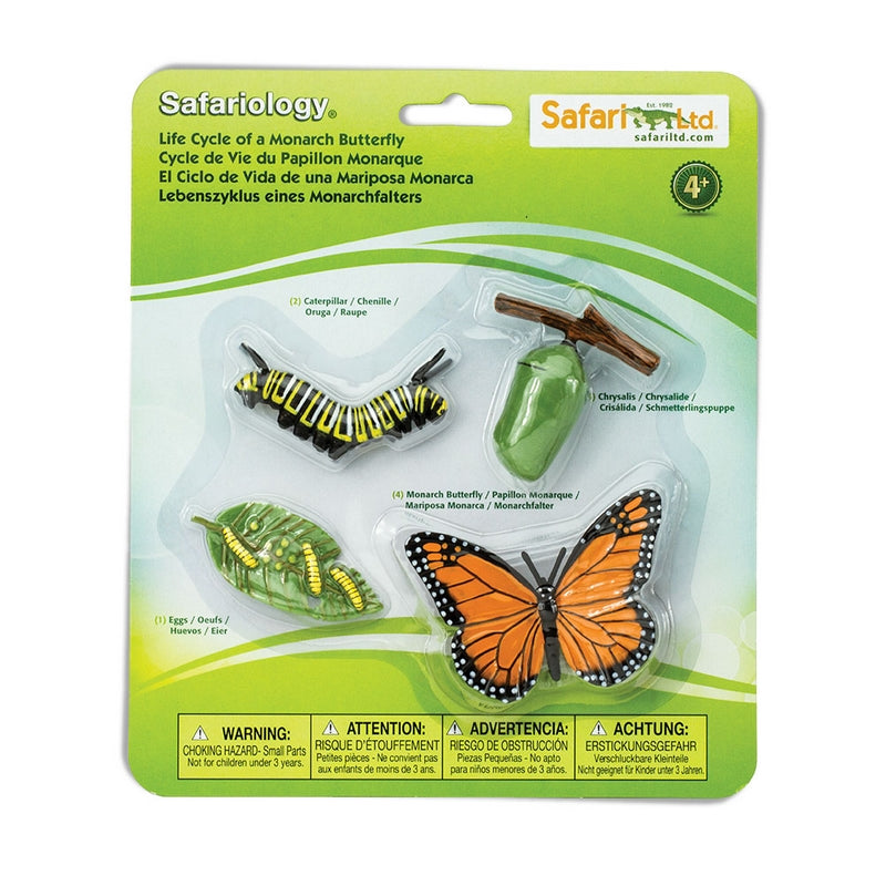 Safari Ltd Life Cycle Of A Monarch Butterfly  Safar