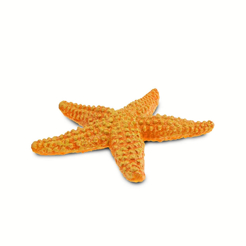Safari Ltd Starfish Wild Safari Sea Life