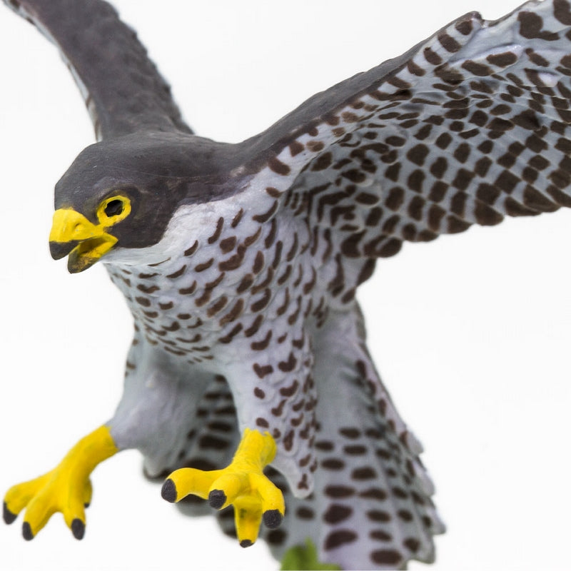 Safari Ltd Peregrine Falcon