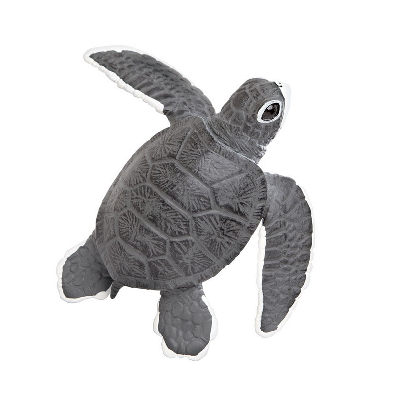 Safari Ltd Sea Turtle Baby