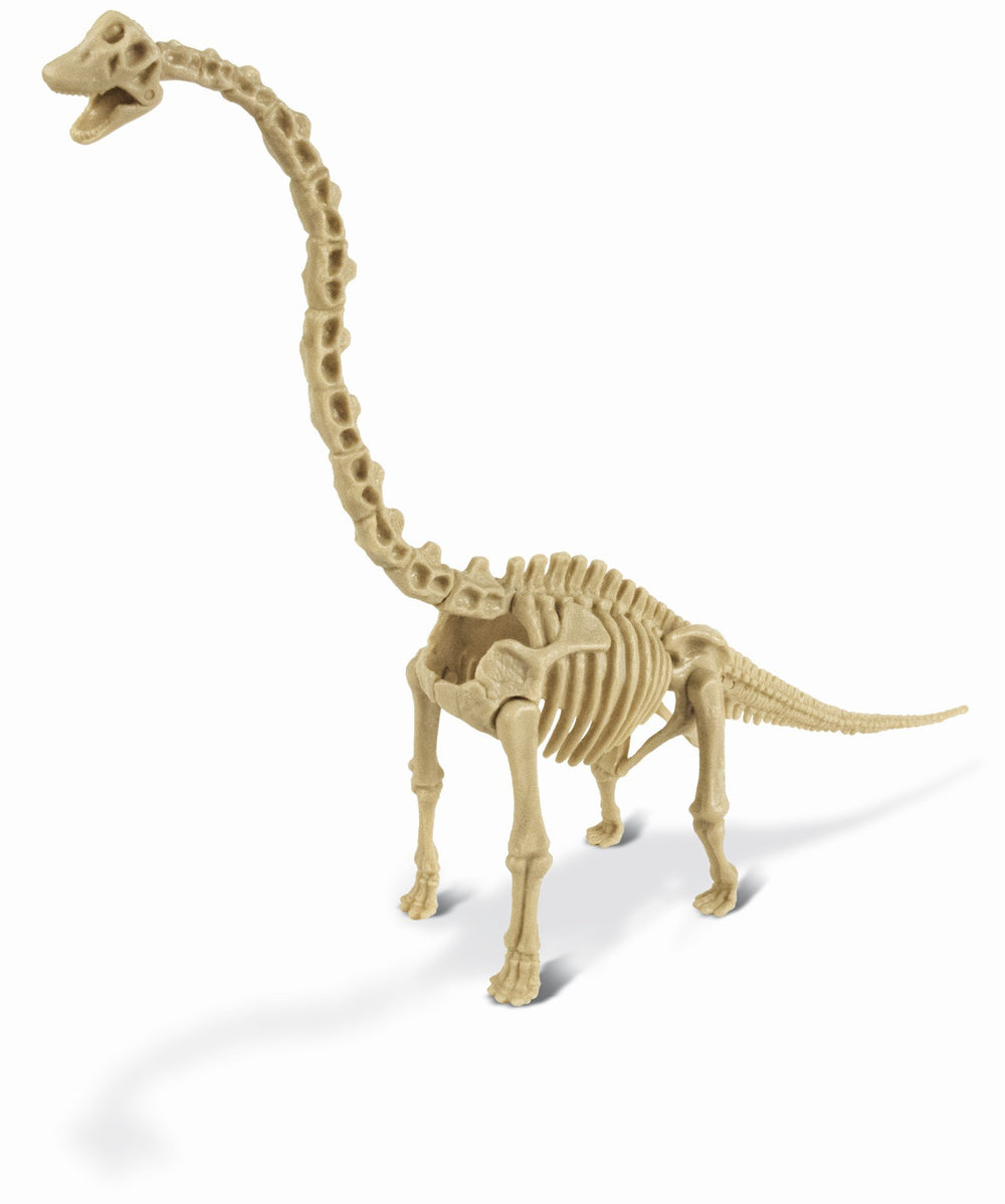 Dr S. Hunters Brachiosaurus Skeleton Dino Excavation Kit