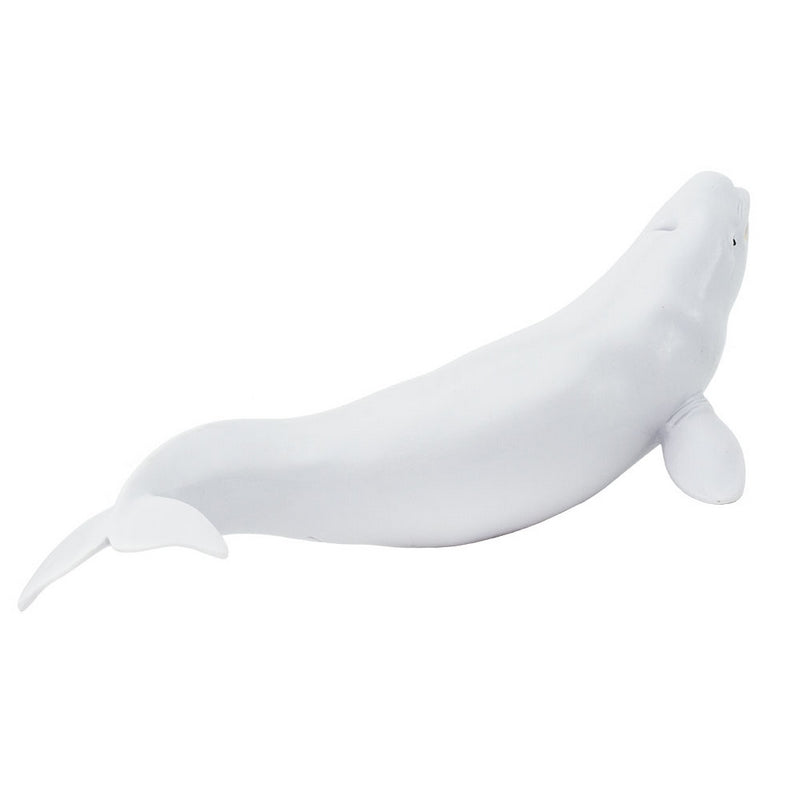 Safari Ltd Beluga Whale Mb Sea Life