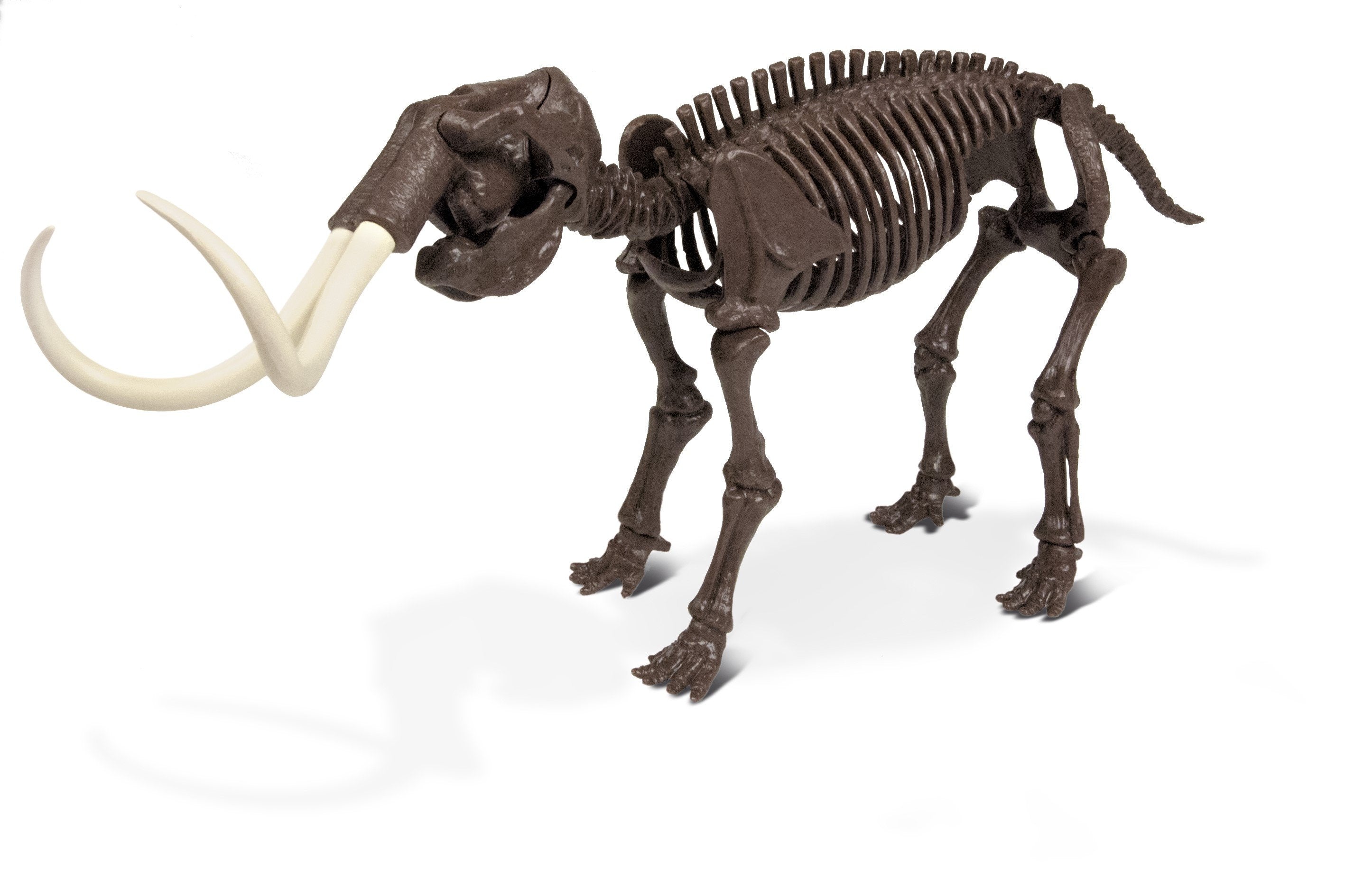 Dr. Steve Hunters Mammuthus Skeleton IceAge Excavation Kit