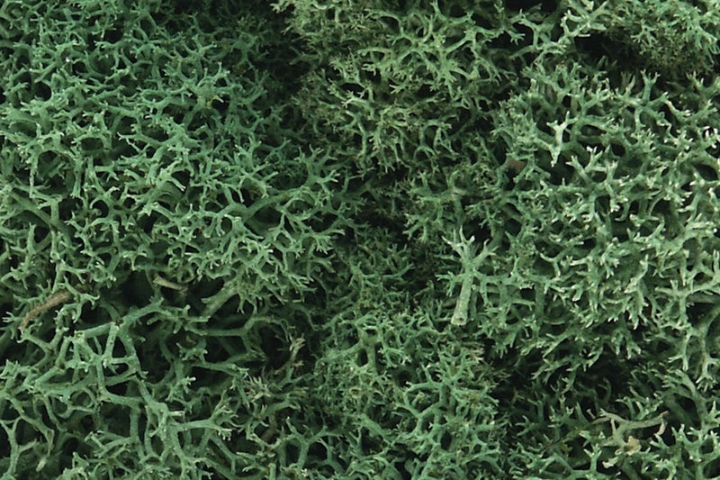 Woodland Scenics Light Green Lichen