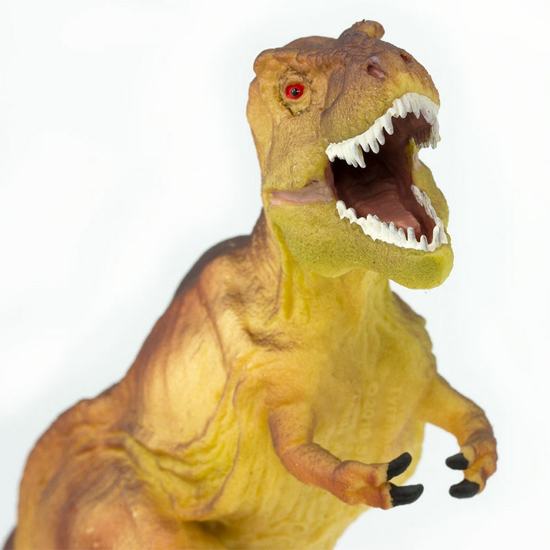 Safari Ltd Tyrannosaurus Rex