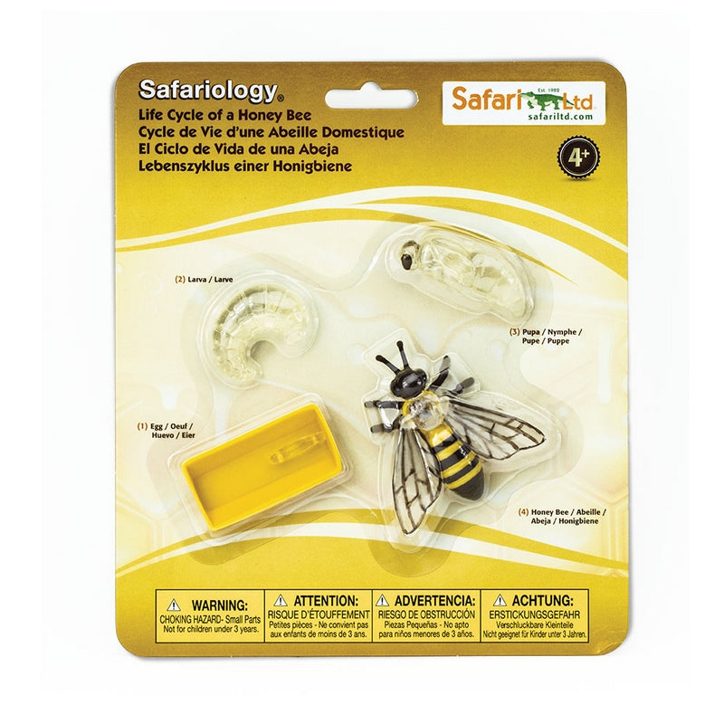 Safari Ltd Life Cycle Of A Honey Bee Safariology
